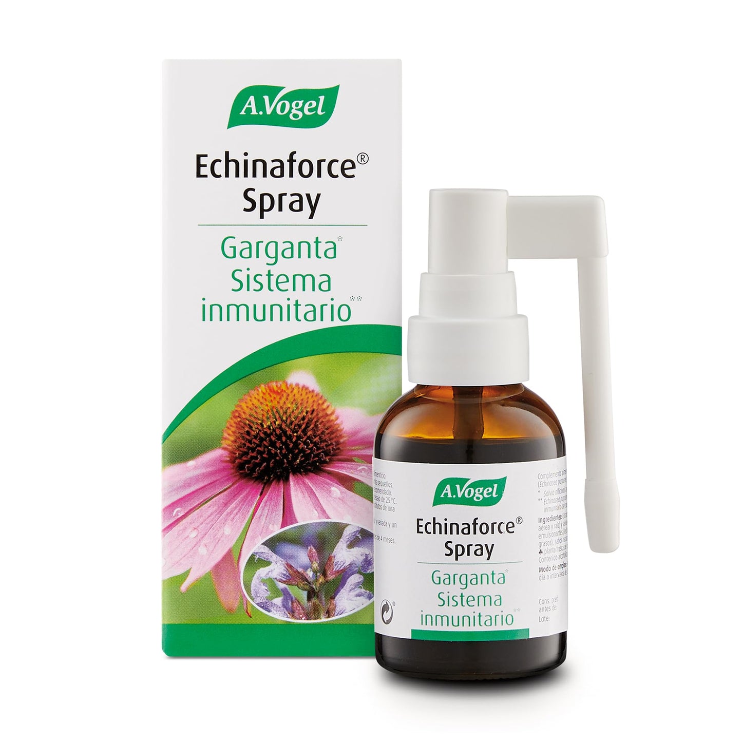ECHINACEA SPRAY