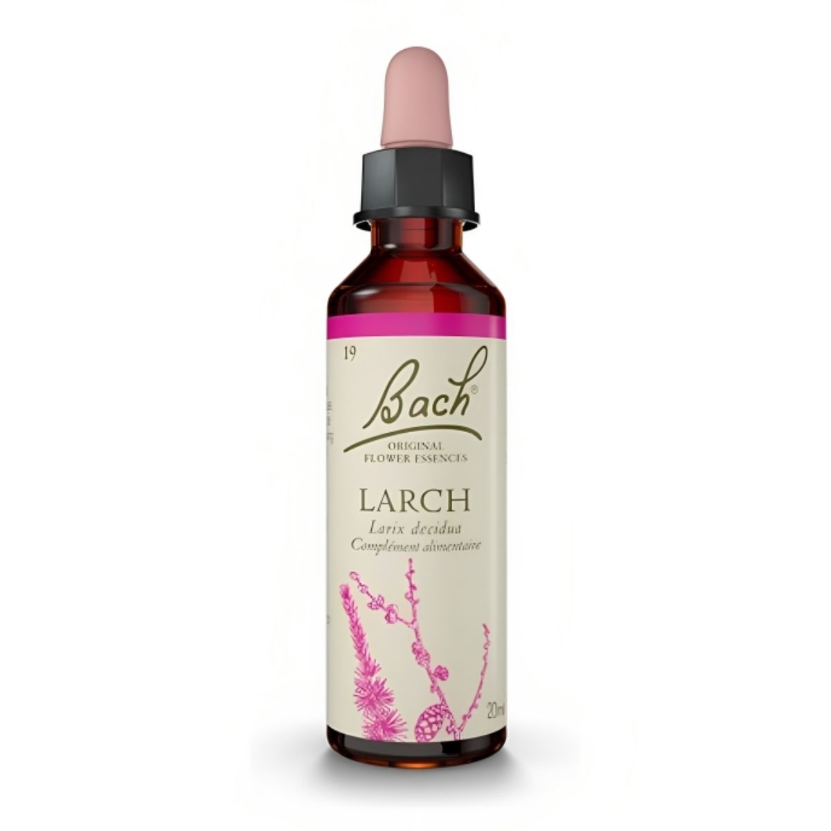 N19 LARCH / ALERCE 20ml