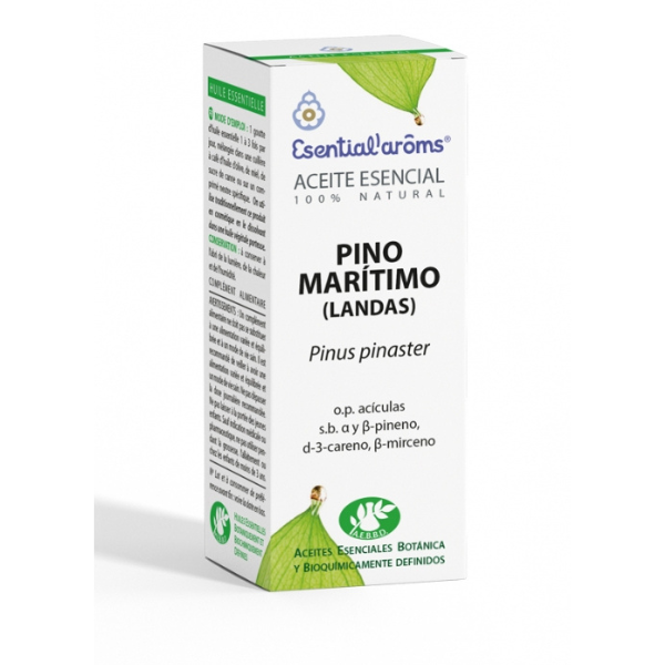 A.E PINO MARITIMO 10ml