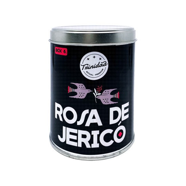 ROSA DE JERICÓ LATA