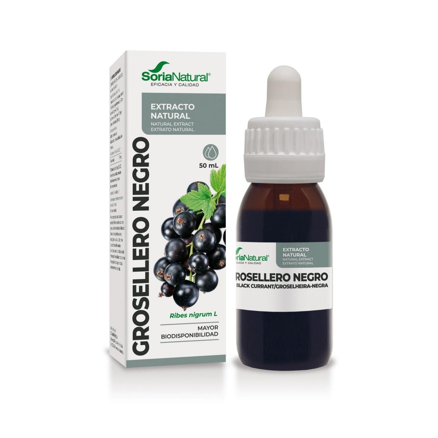EXTRACTO GROSELLERO NEGRO 50ml