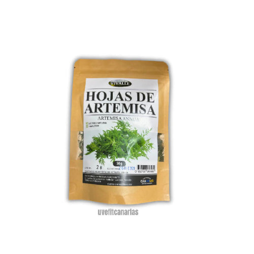 ARTEMISA ANNUA BIO 50gr