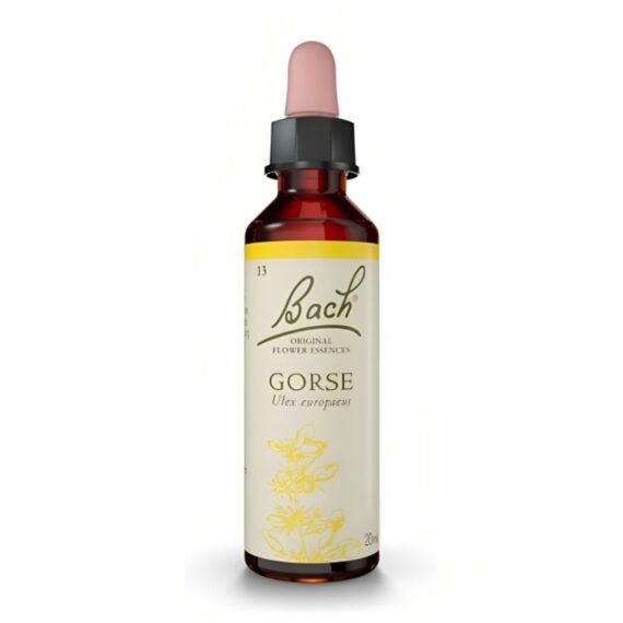 N13 GORSE / AULAGA 20ml