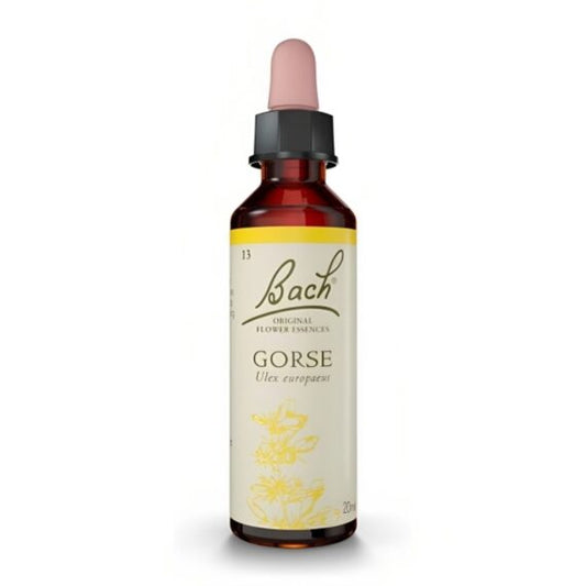 N13 GORSE / AULAGA 20ml