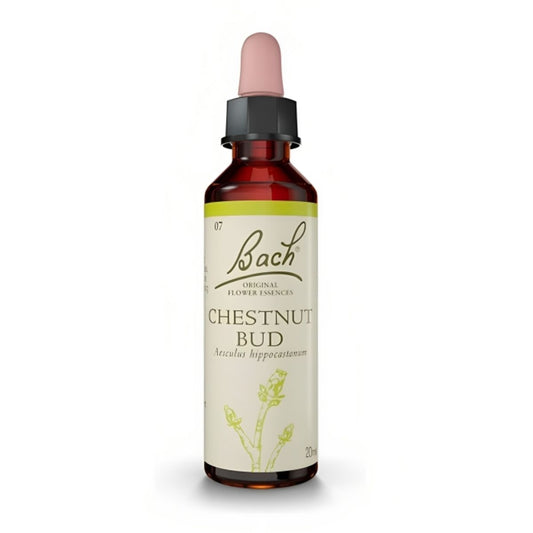 N7 CHESTNUD BUD / BROTE DE CASTAÑO  20ml