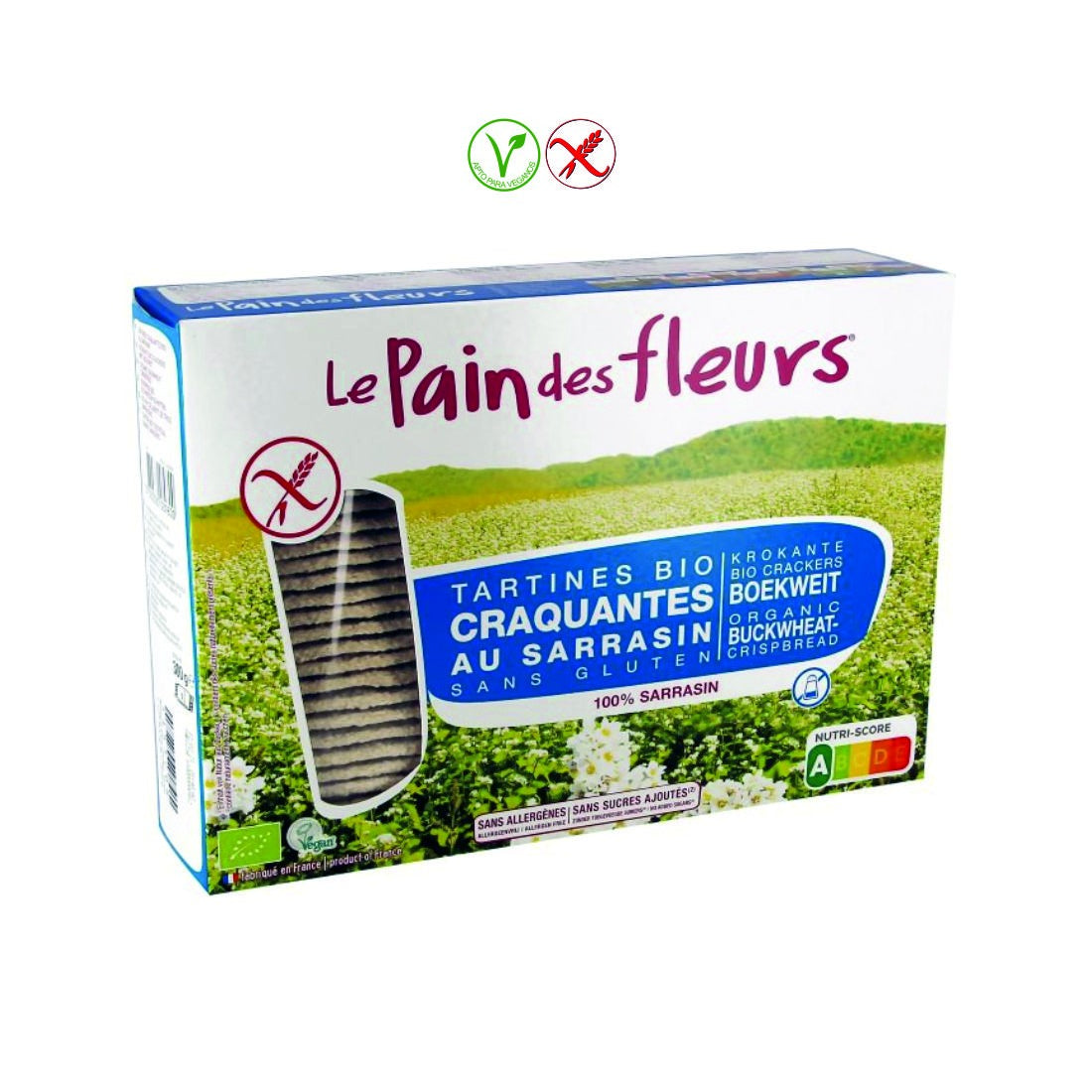 PAN CRUJIENTE SARRACENO S/AZUCAR S/SAL 300gr