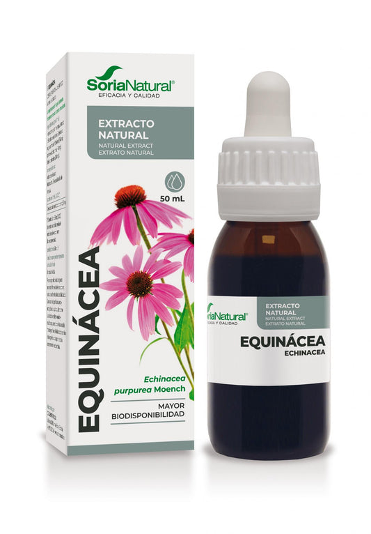 EXTRACTO EQUINACEA 50ml