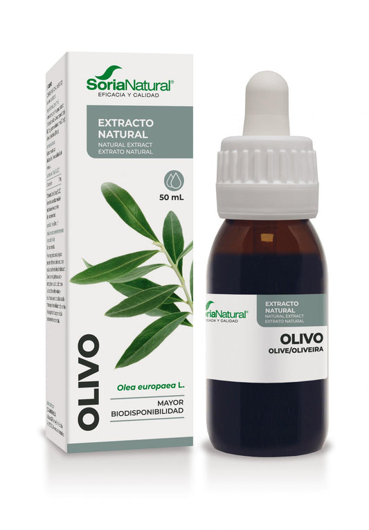 EXTRACTO OLIVO 50ml